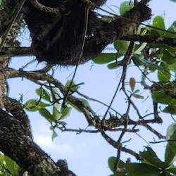 So happy he made it🥰