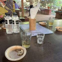 Shooters of juice of Pecan nuts.