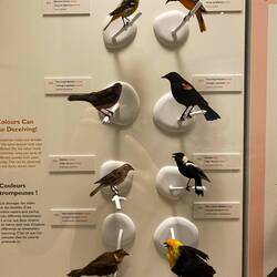 Mann und Frau im Vergleich und wer ist der Schönste 😉