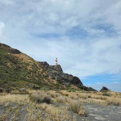 Cape Palliser Lighthouse