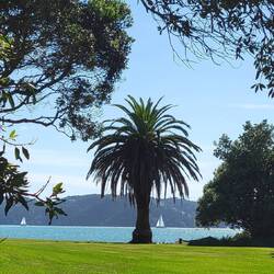 Walking to the town of Paihia