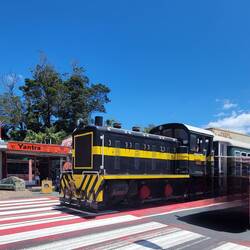 Tourists train runs thru the town of Kawakawa