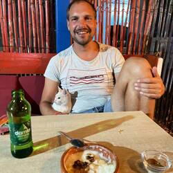 Selbst im Restaurant sind die Katzen Chefs