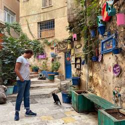 Eine ganze Straße nur für Katzen