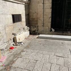 Die Kaddy möchte gerne im Spielparadies abgeholt werden