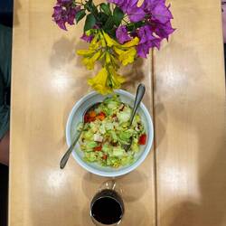 Leckerer gemischter Salat als Vorspeise