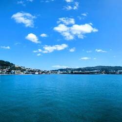 You can't beat Wellington on a good day