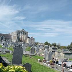 Tracking down the whakapapa in Ireland