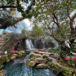 Angel Park