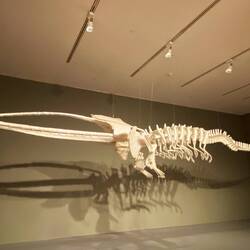 Dieser nette Freund wurde aus Plastikstühlen gebaut