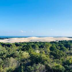 Die Düne haben wir nur von weitem gesehen 🫣🤷🏽‍♀️
