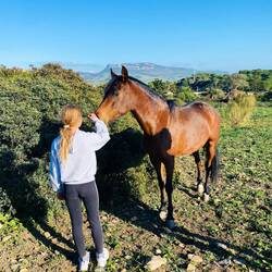Sehr neugierig, wer da auf seine Koppel eindringt, aber friedlich 🐴😍