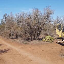 ...unser Camp im Busch...sehr lauschig
