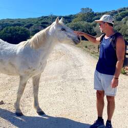 Wen man hier nich so alles trifft 🐴😉