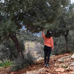 Les passages dans les terres dans la montagne sont aussi très jolis
