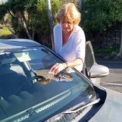 Durchblick erschwert! Handarbeit ist angesagt, der Gummi der Scheibenwischerblätter ist alt.