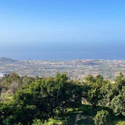 Blick auf Puerto de la Cruz aus etwa 500m Höhe