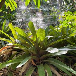 Im Hintergrund ein riesiges Spinnennetz