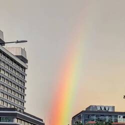 The other end of the rainbow