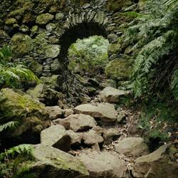 Hier wohnt der Waldtroll