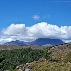 Sicht auf die Vulkanebene um Mt. Tongariro