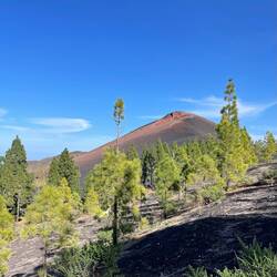 Der Aufstieg zum Vulkan ist aus ökologischen Gründen verboten.