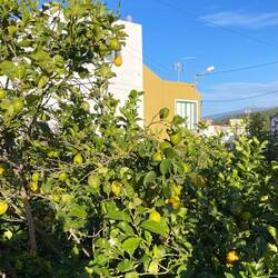 Ankunft im Dorf beim Zitronengarten