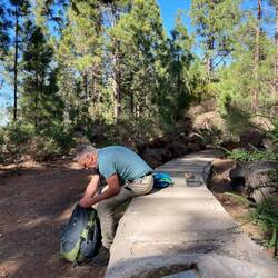 Picknick wird ausgepackt.