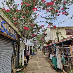 Das einzige Dorf in der Umgebung heisst Tortuguero.