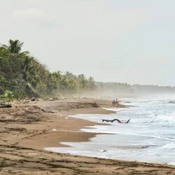 An diesem verlassenen Traumstrand kommen jedes Jahr viele Schildkröten zur Welt.