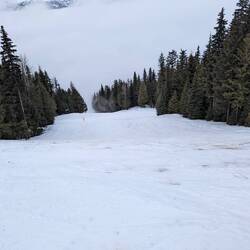 So sah es dann aus als es warm wurde (ist noch schlimmer geworden)