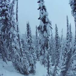 Einer von vielen Fails, anschließend hing ich Kopfüber zwischen Bäumen Hangabwährts 😂