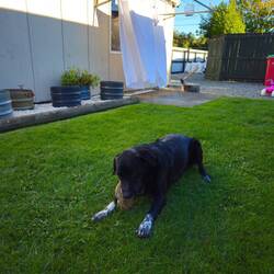 Mein heutiger Nachbar