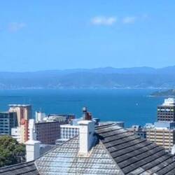 View from the top of the Wellington Cablecar