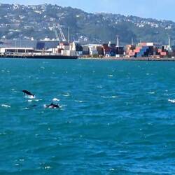 Surfing around on the waves