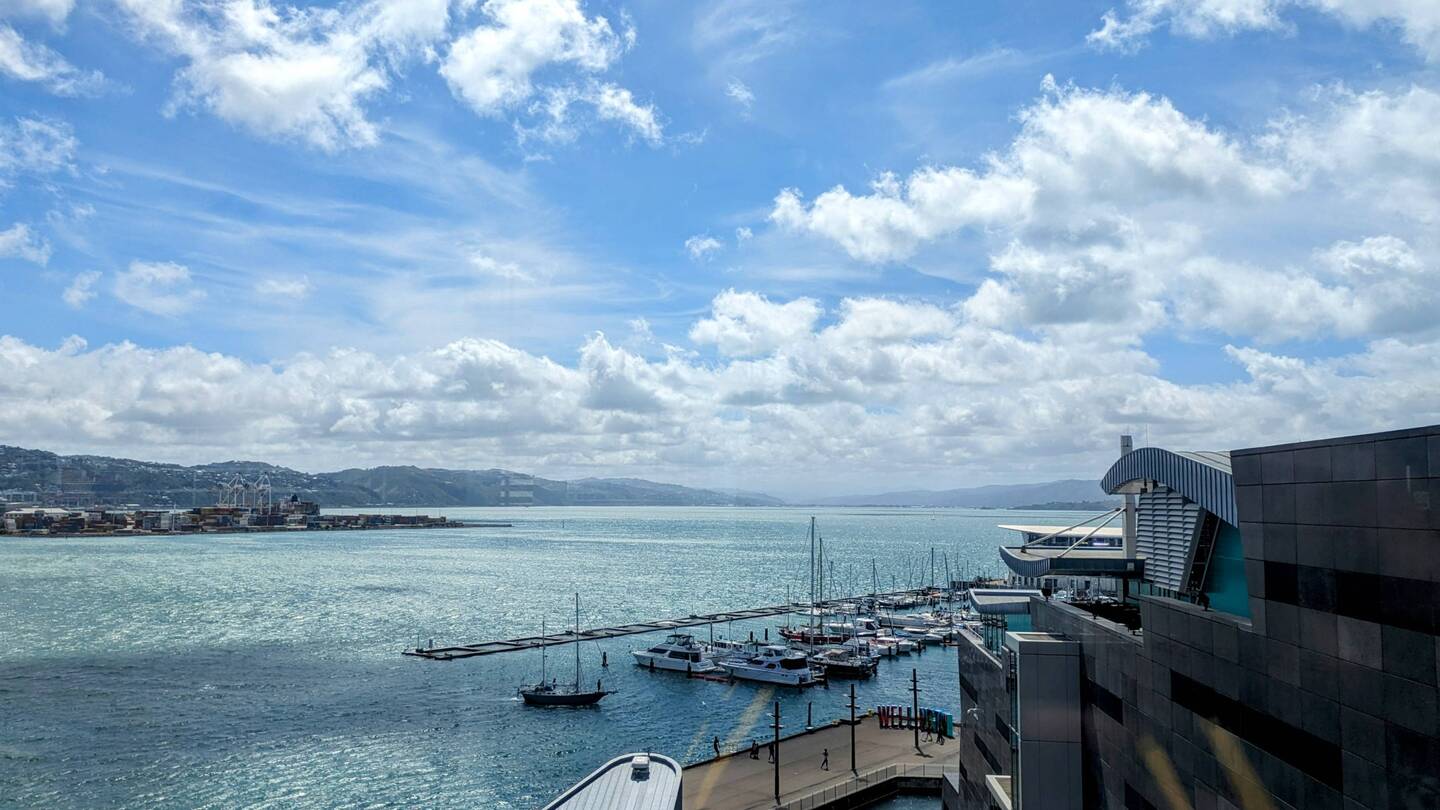 View from the observation deck at Te Papa