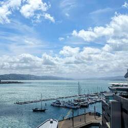 View from the observation deck at Te Papa