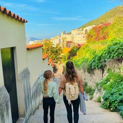 Und wieder zurück zur Molly 🚐