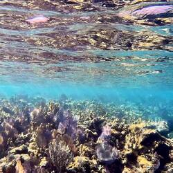 The reef at the blue hole
