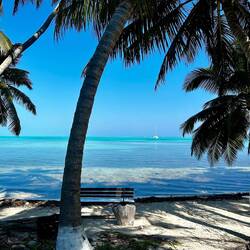 Half Moon Caye- Paradise