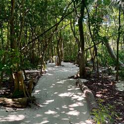 The walk to bird tower