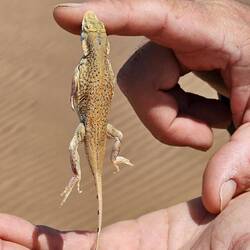 ... hatte ganz schön Kraft 😅.