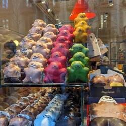 Bcp trop de tentations pour nous...