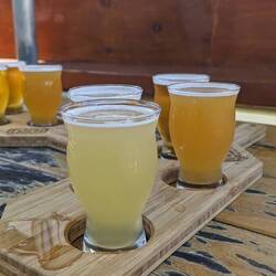 Tasting paddle (give it a 6/10)