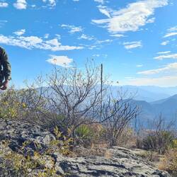 Bewachung auf dem Campingplatz