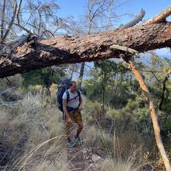 Immer mal wieder Hindernisse überwinden