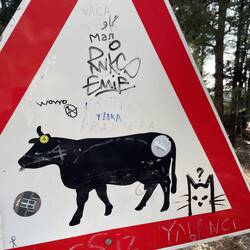 Und was mit den Kadis?