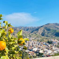 Herrlich 🍊🍊🍊