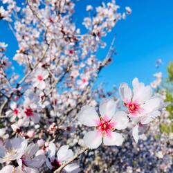 Love it 🌸🫶🏼🌸🫶🏼🌸🫶🏼