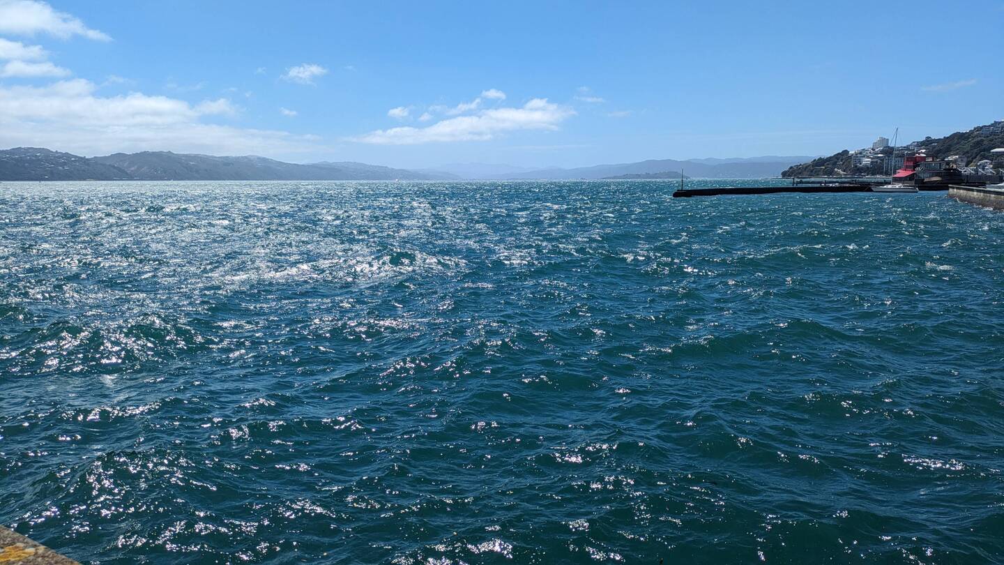 Wellington chop